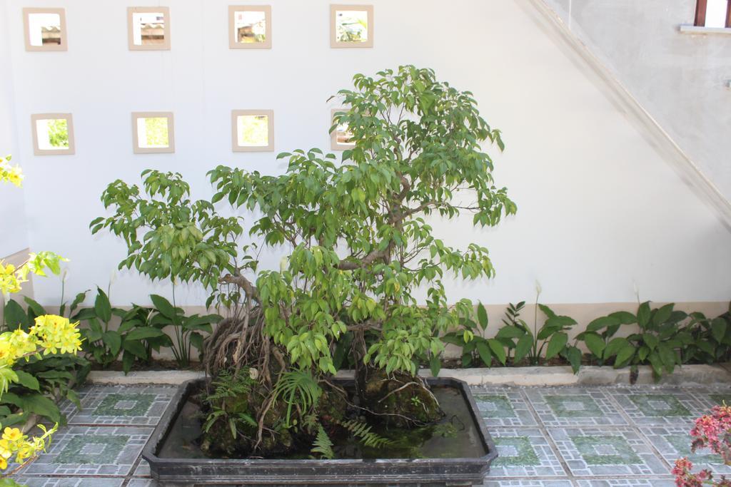 Hoian Joy Homestay Hoi An Bagian luar foto