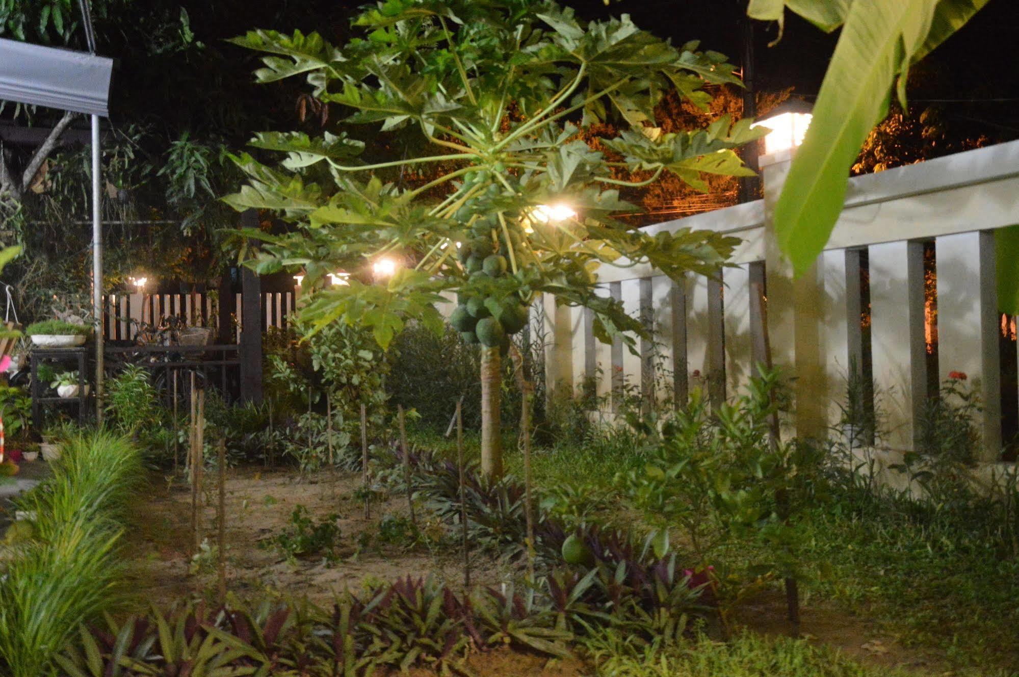Hoian Joy Homestay Hoi An Bagian luar foto